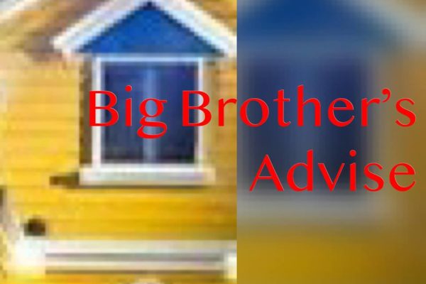 Big Brother’s Advise (a project of Progressive Mind Campaign)