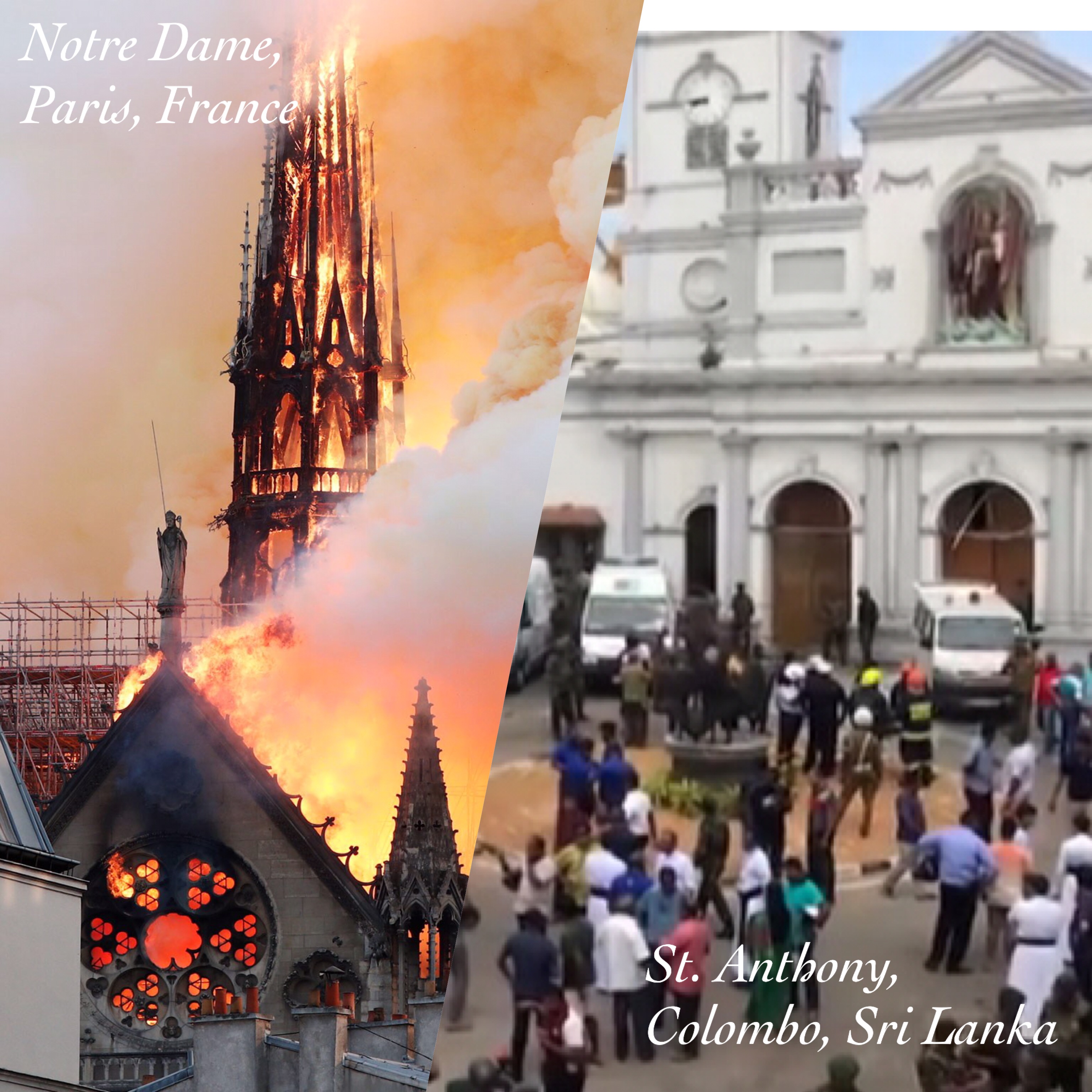 Notre Dame has more but Sri Lanka has nothing, then where is humanity?