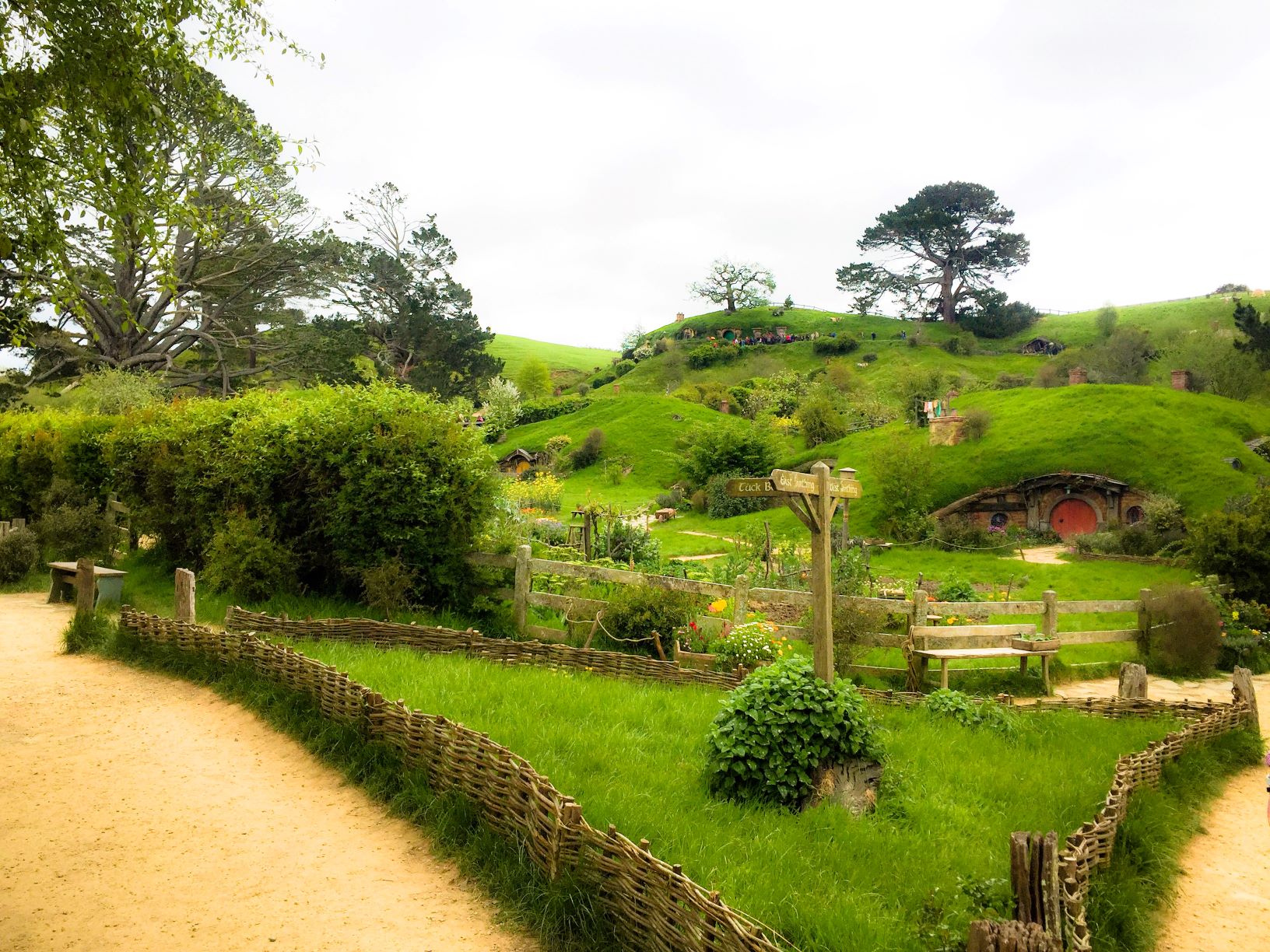 My Travel Diary Webseries Part 3: Waitomo Caves and ‘The Lord of the Rings’ Hobbiton Movie Set