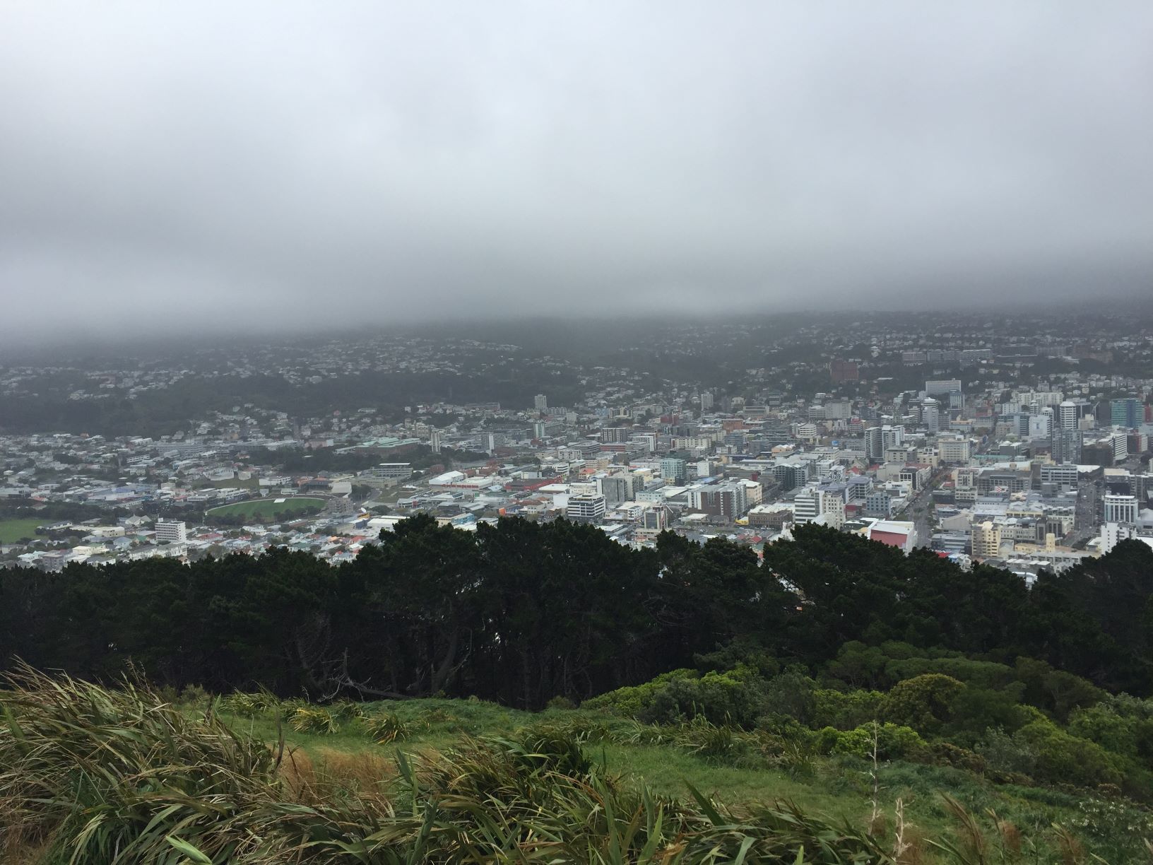 My Travel Diary Webseries Part 4: Auckland to Wellington, New Zealand